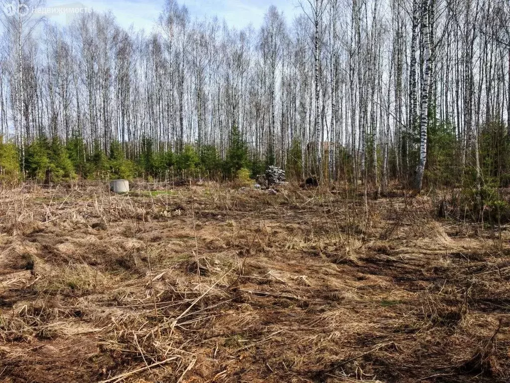 Участок в Московская область, муниципальный округ Истра, деревня ... - Фото 1