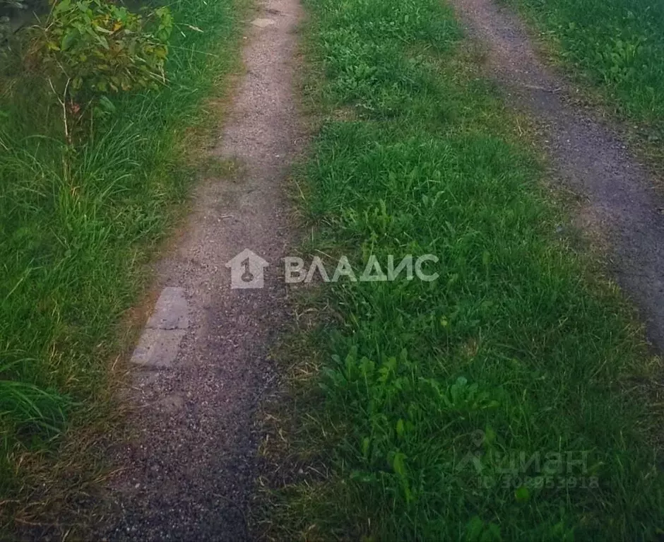 Участок в Калининградская область, Зеленоградский муниципальный округ, ... - Фото 0