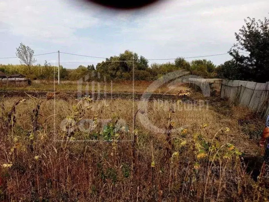 Участок в Воронежская область, Новоусманский район, Усманское 1-е ... - Фото 1