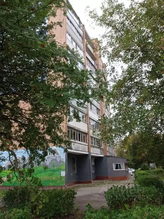2-к кв. Московская область, Электроугли Богородский городской округ, ... - Фото 2