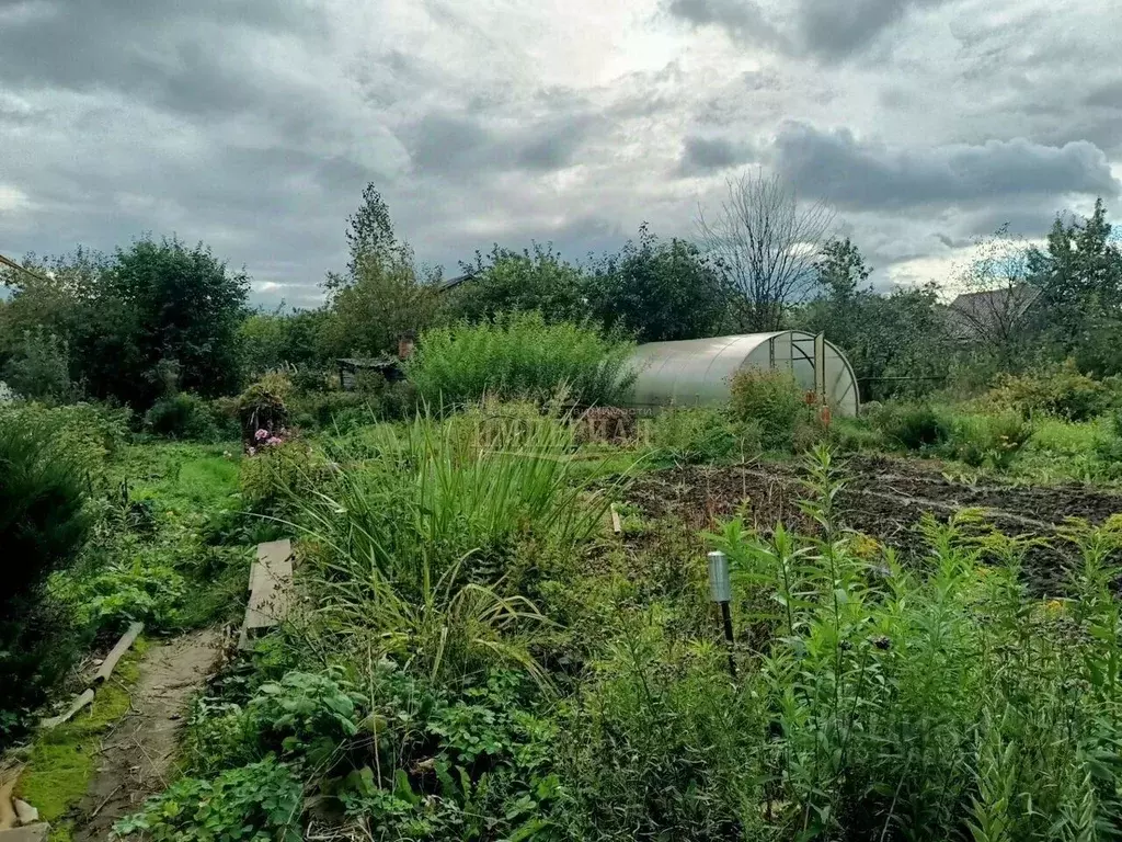 Участок в Марий Эл, Медведевский район, Сидоровское с/пос, Дружба СНТ  ... - Фото 2