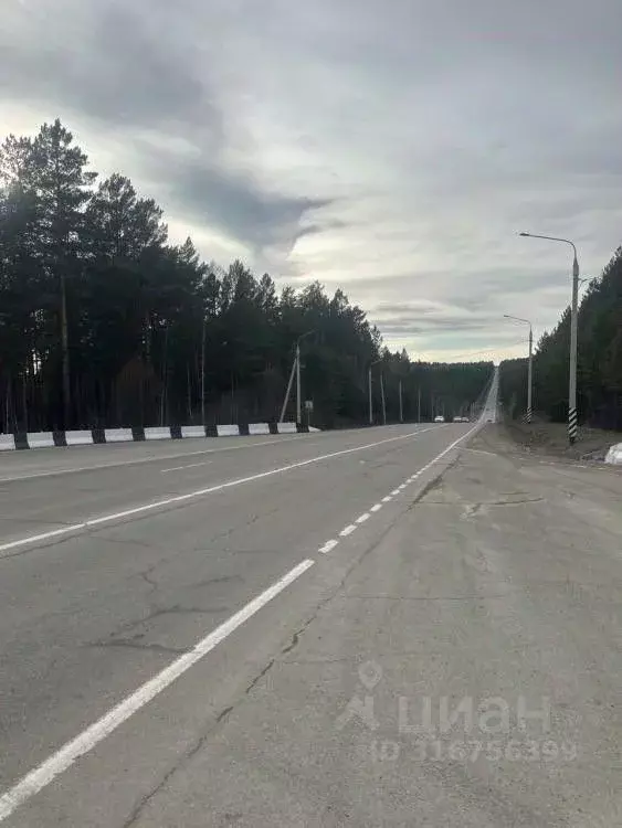 Участок в Иркутская область, Иркутский муниципальный округ, Клен СНТ  ... - Фото 0