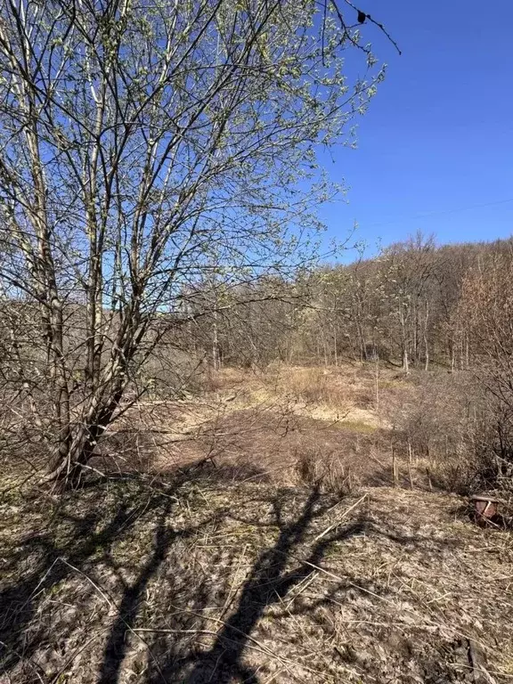 Участок в Нижегородская область, Нижний Новгород пос. Станции ... - Фото 1