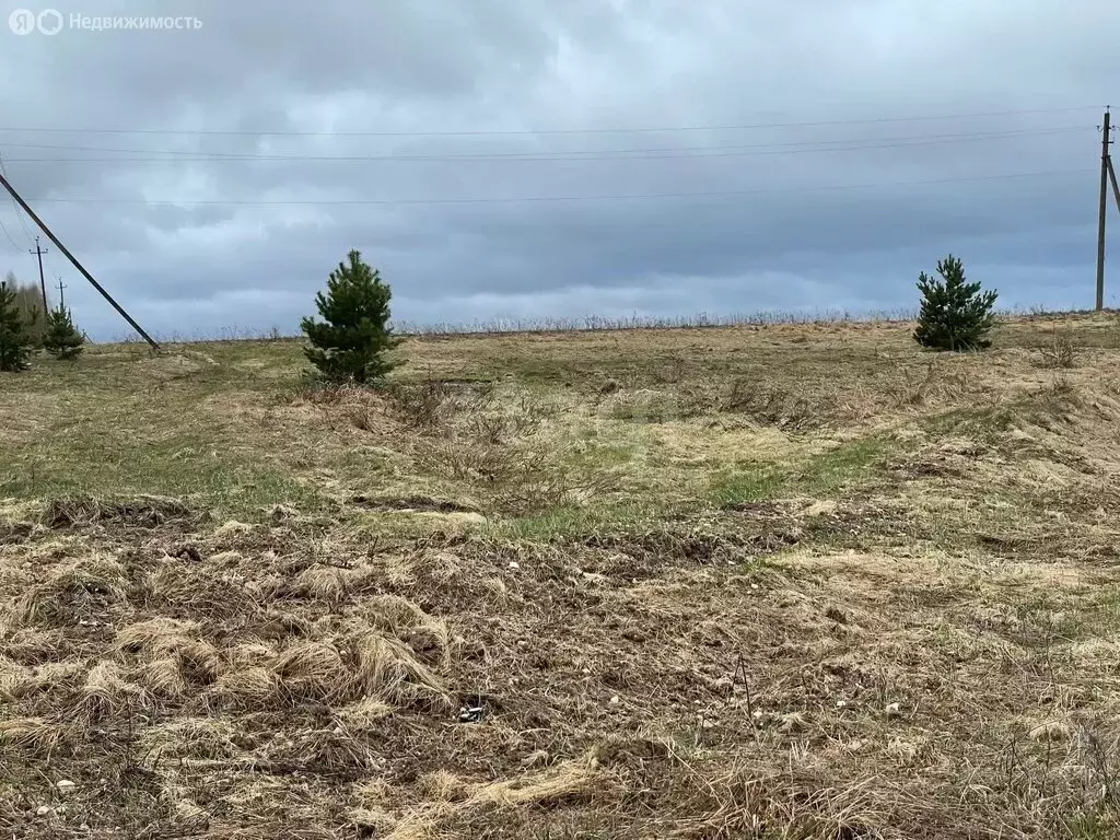 Участок в Владимирская область, Ковровский муниципальный округ, ... - Фото 2