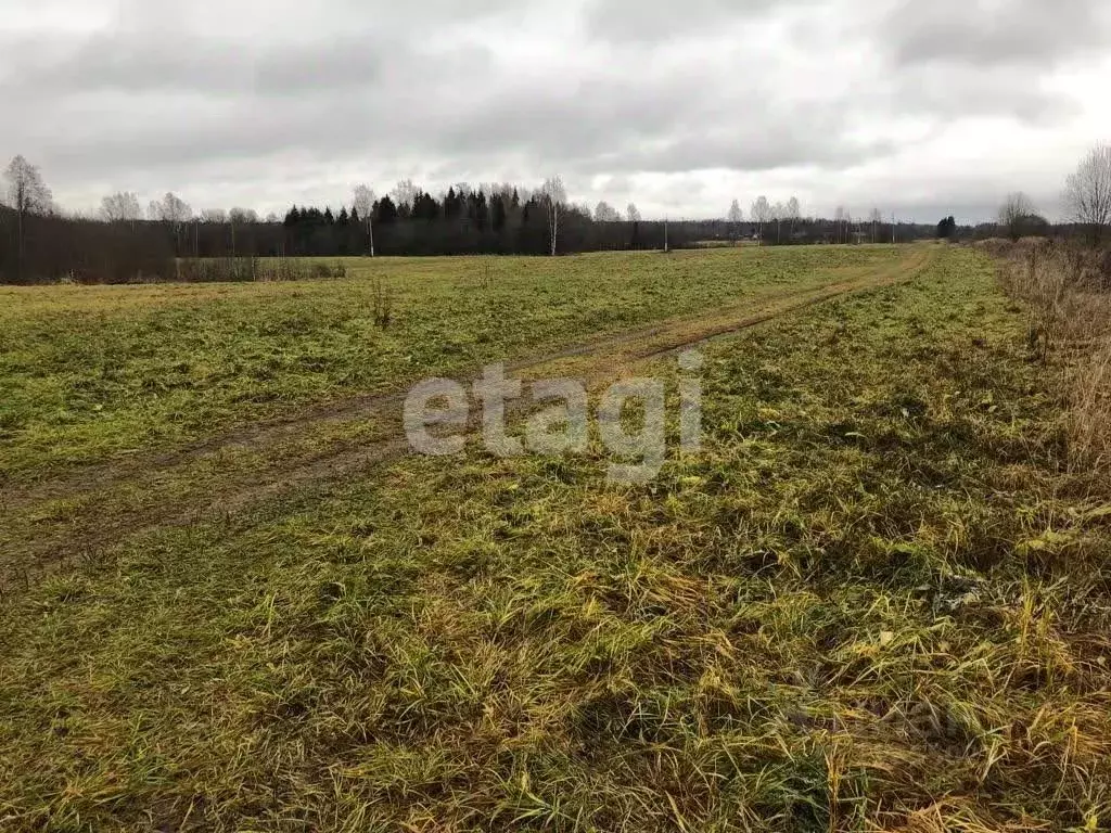 Участок в Костромская область, Красное-на-Волге городское поселение, ... - Фото 1