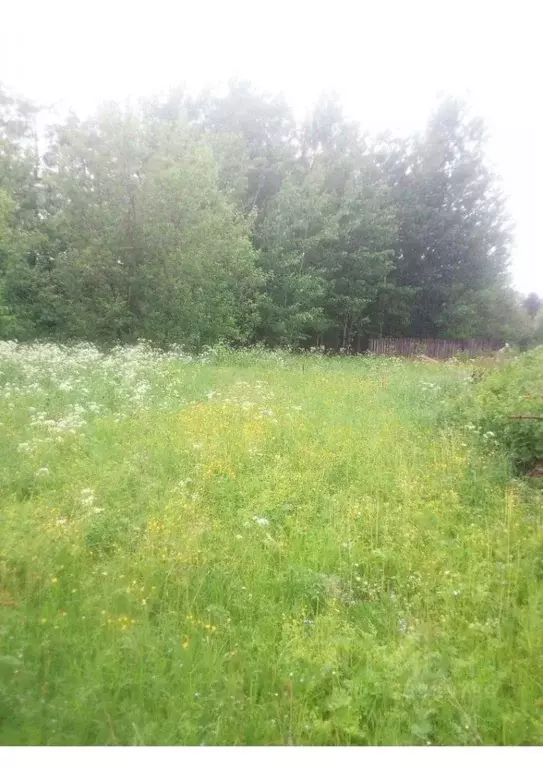 Участок в Удмуртия, Балезинский район, пос. Балезино Сибирская ул., 4 ... - Фото 1