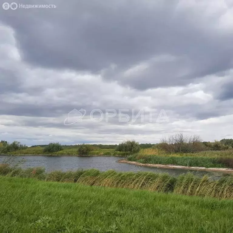 Участок в Курганская область, Куртамышский муниципальный округ, село ... - Фото 1