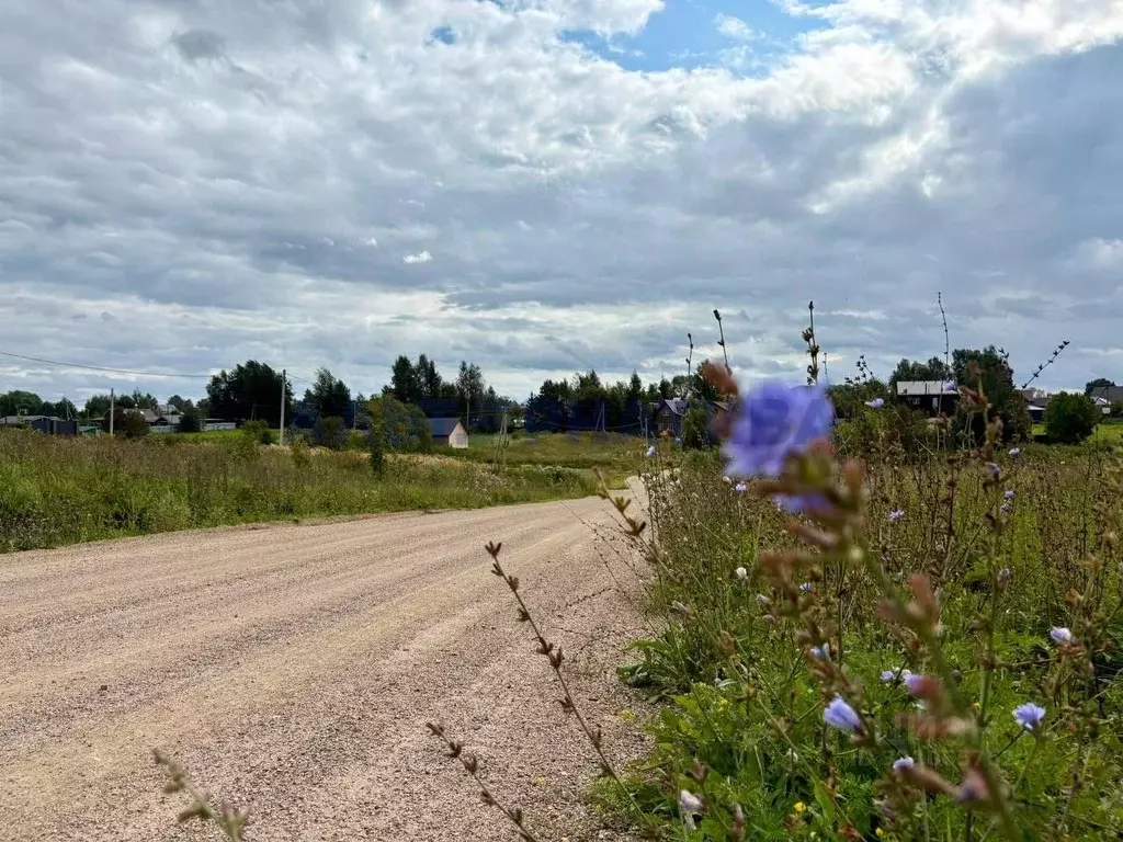 Участок в Ярославская область, Переславль-Залесский муниципальный ... - Фото 2