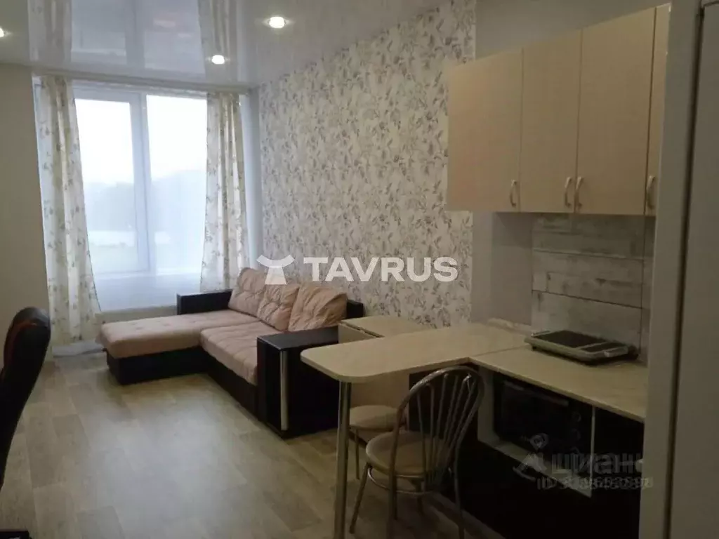 Студия Крым, Симферополь ул. Беспалова, 110Е (25.0 м) - Фото 2