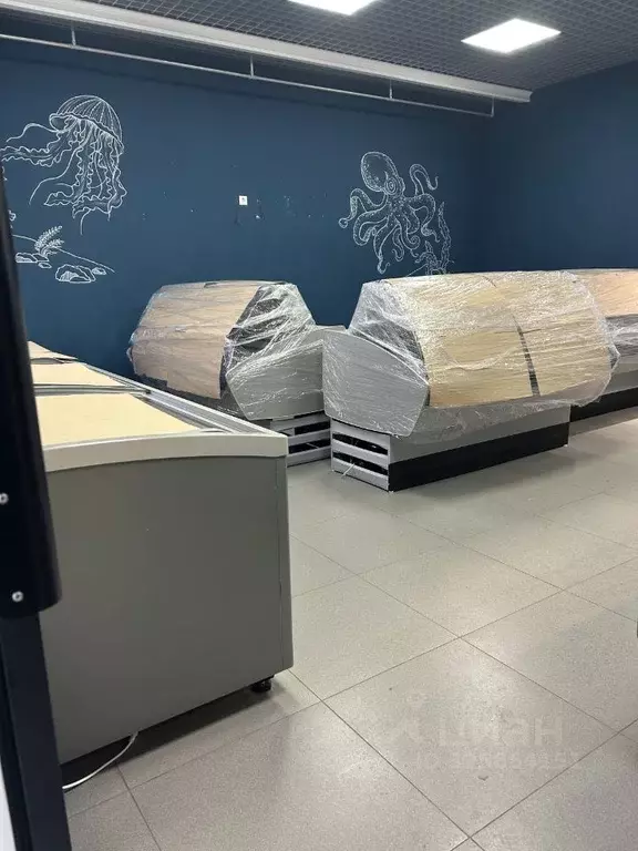 Торговая площадь в Хакасия, Абакан ул. Некрасова, 45 (60 м) - Фото 1