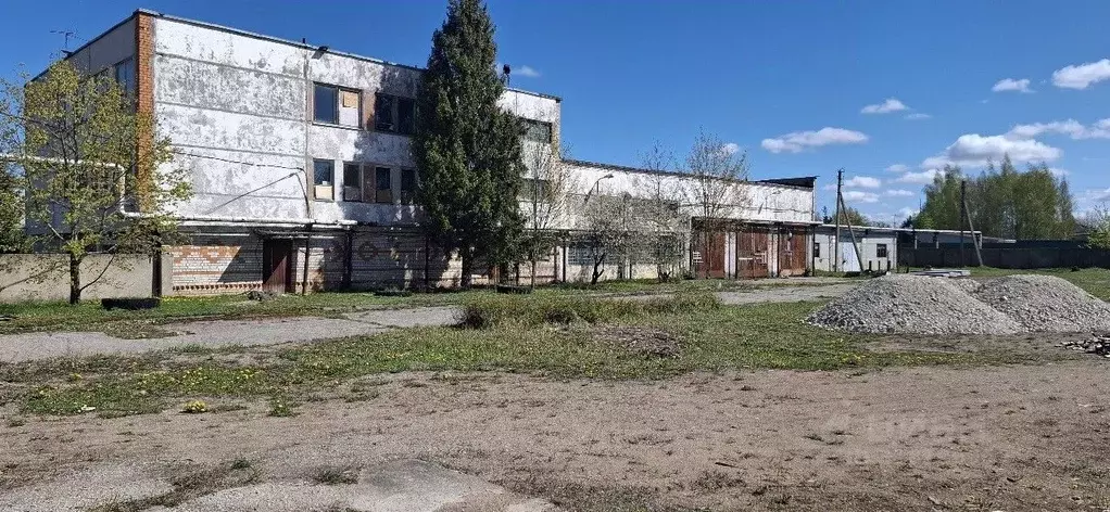 Помещение свободного назначения в Псковская область, Остров ул. ... - Фото 1