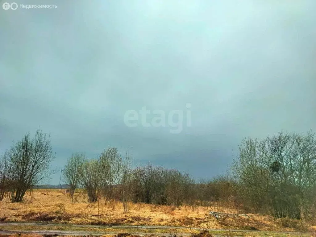 Участок в посёлок Новые Дарковичи, Весенний переулок (8 м) - Фото 2