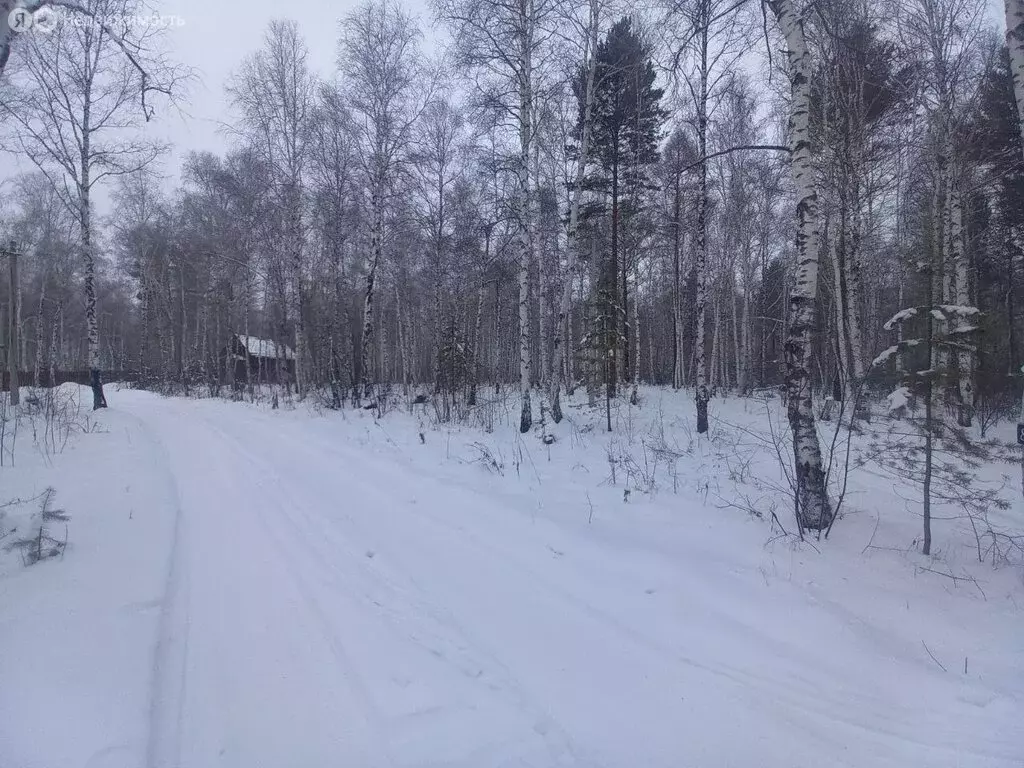 Участок в Иркутский муниципальный округ, посёлок Берёзка, Лесная улица ... - Фото 2