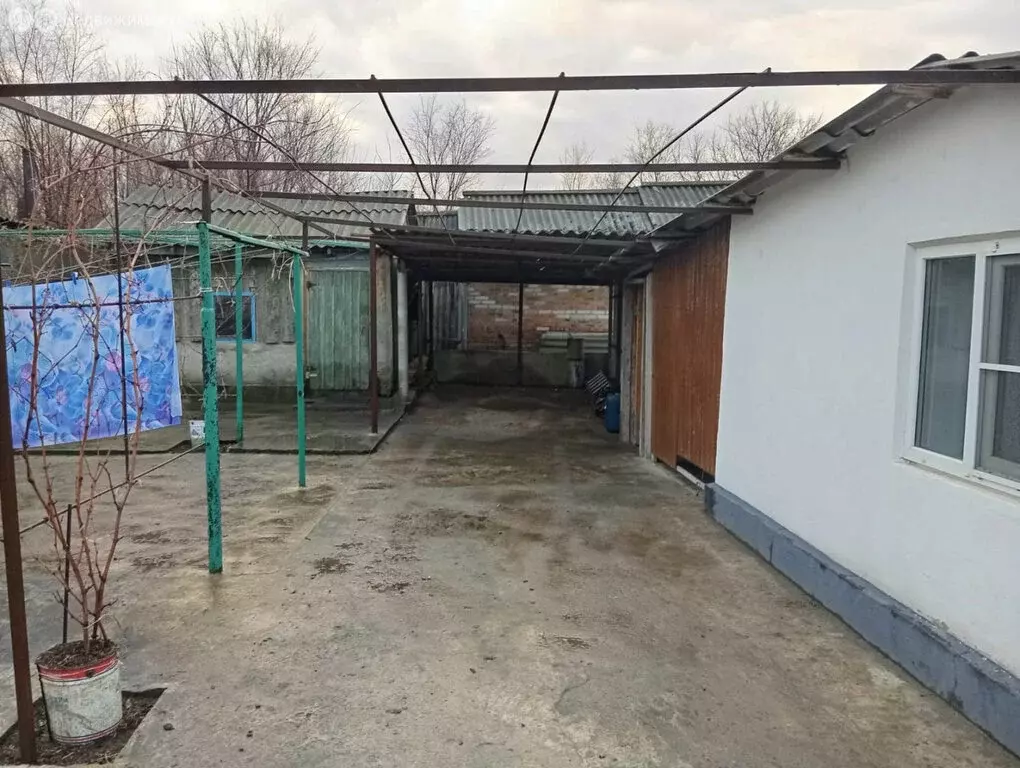 Дом в Мартыновский район, хутор Ильинов (60 м) - Фото 1
