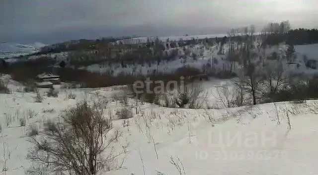 Участок в Алтайский край, Алтайский район, с. Алтайское ул. Советская, ... - Фото 0