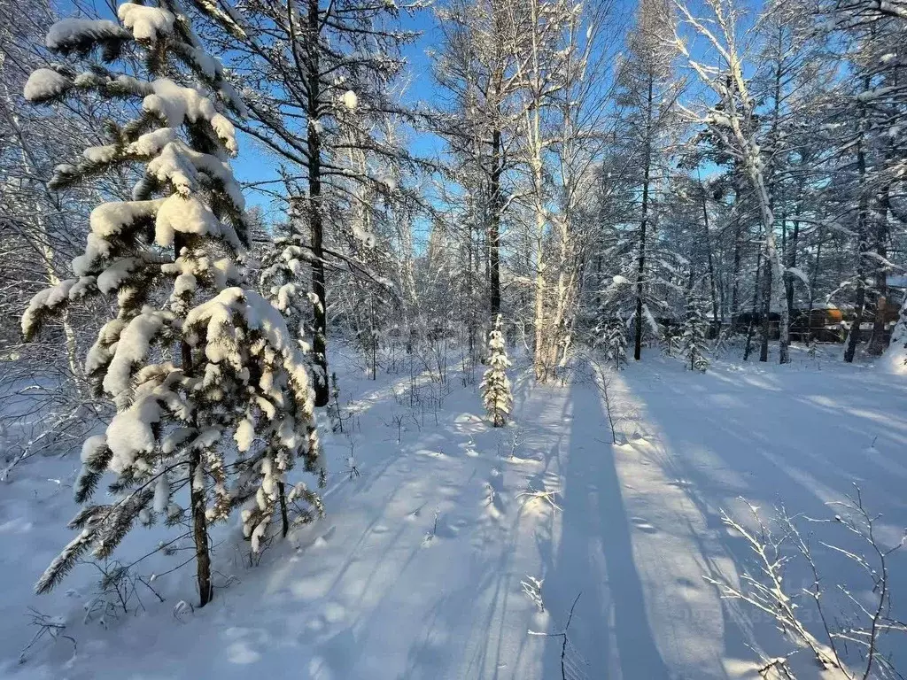 Участок в Саха (Якутия), Якутск Вилюйский тракт, 8А (6.6 сот.) - Фото 0