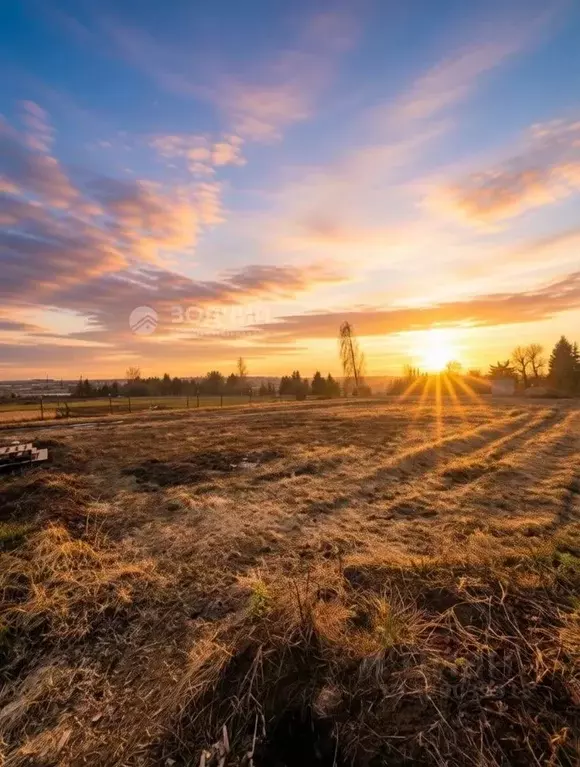 Участок в Чувашия, Чебоксарский муниципальный округ, д. Пихтулино  ... - Фото 1