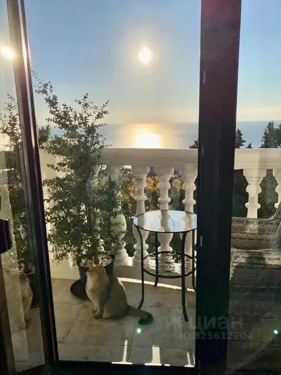 1-к кв. Крым, Ялта муниципальный округ, Ливадия пгт ул. Виноградная, ... - Фото 1