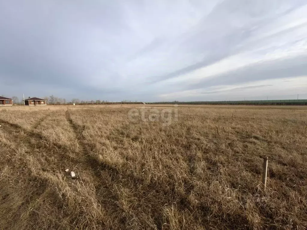 Участок в Воронежская область, Новоусманский район, Отрадненское ... - Фото 0