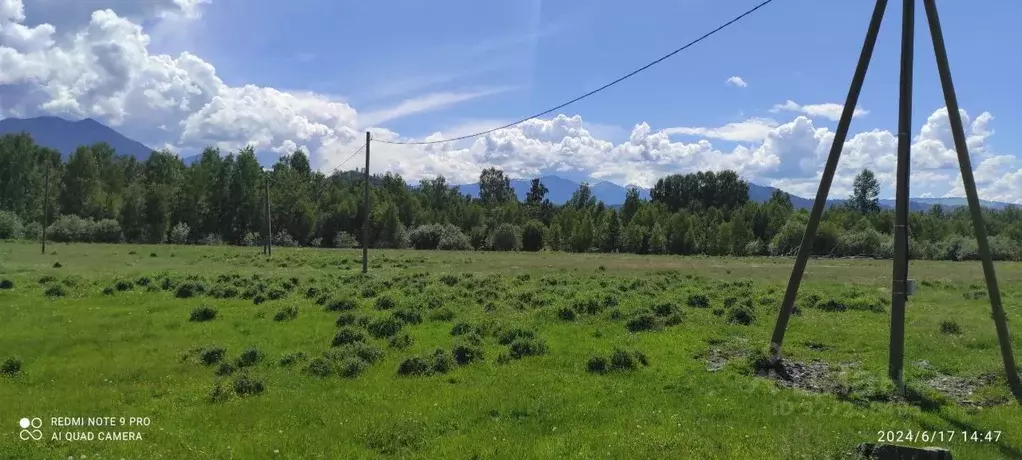 Участок в Алтай, Усть-Коксинский район, с. Горбуново  (20.0 сот.) - Фото 1