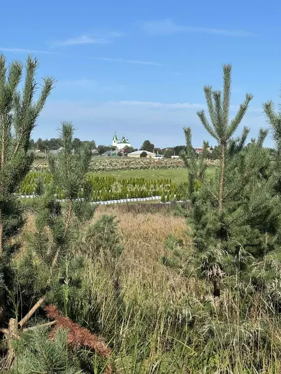 Участок в Владимирская область, Ковровский район, Доброград ... - Фото 2