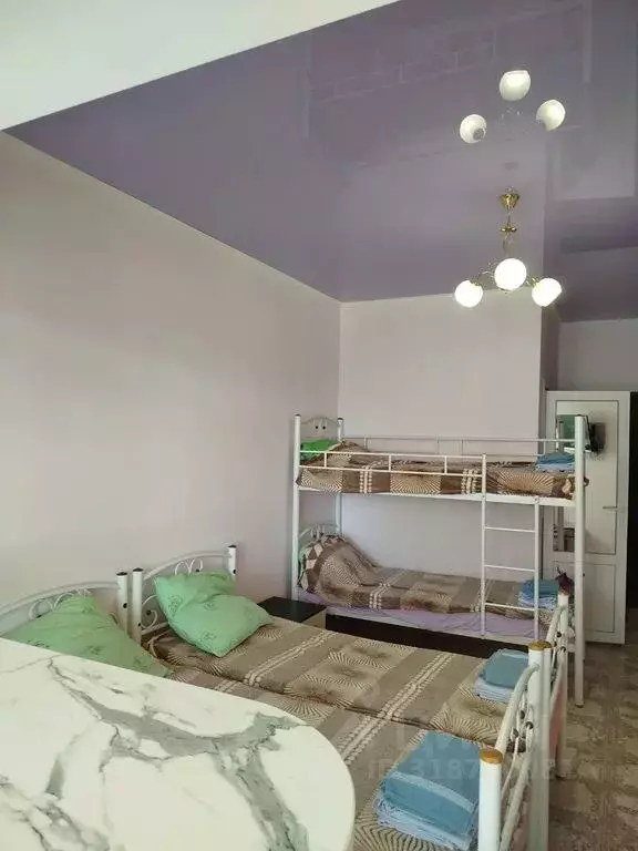 1-к кв. Крым, Саки ул. Зеленая, 12 (22.0 м) - Фото 2