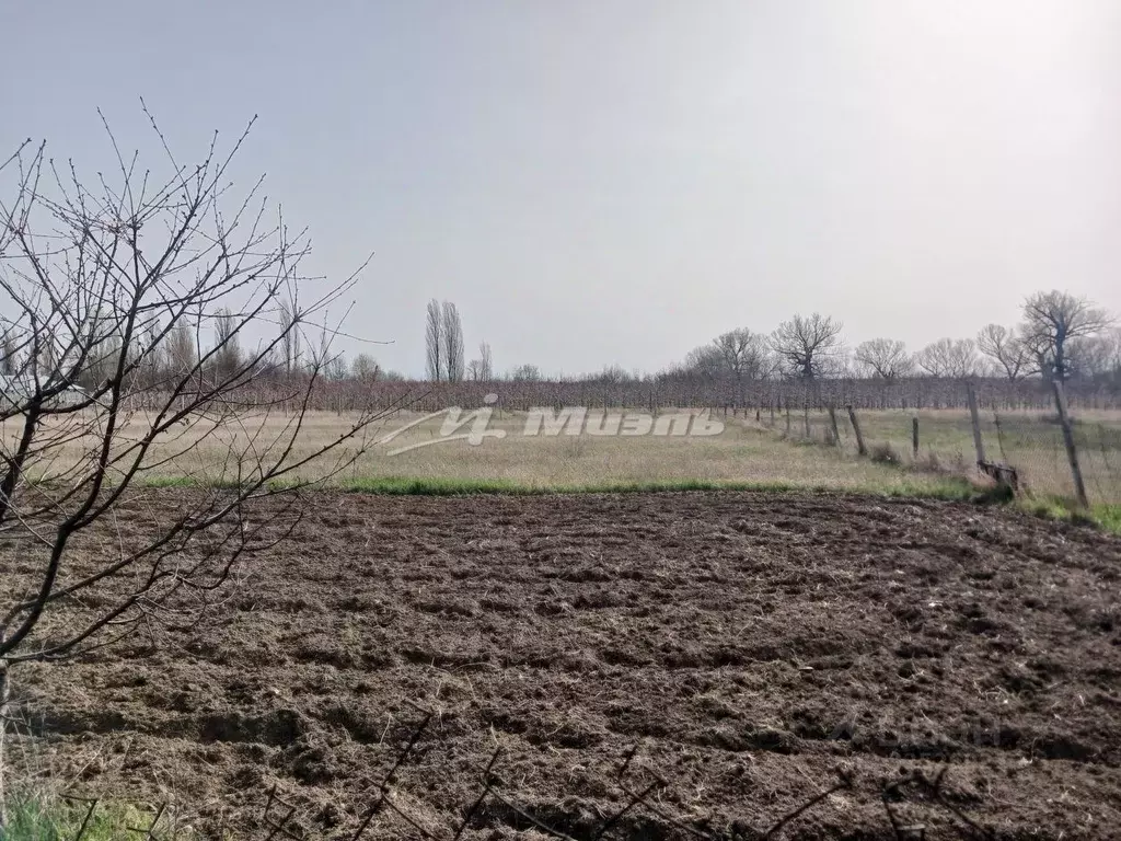 Участок в Крым, Белогорский район, с. Зыбины ул. Цветочная (6.0 сот.) - Фото 1