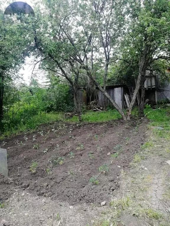 Участок в Татарстан, Казань Казанка садовое дачное товарищество, 274 ... - Фото 1