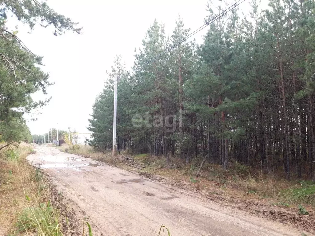 Участок В Медовке Воронеж Купить
