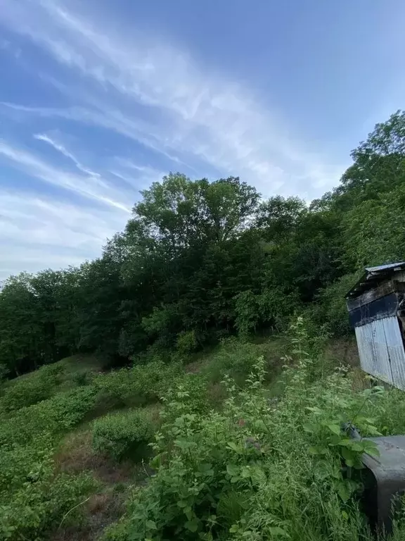 Участок в Краснодарский край, Сочи городской округ, с. ... - Фото 2