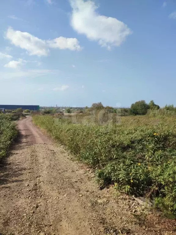 Участок в Хабаровский край, Хабаровский район, с. Ракитное, 73-й кв-л  ... - Фото 1