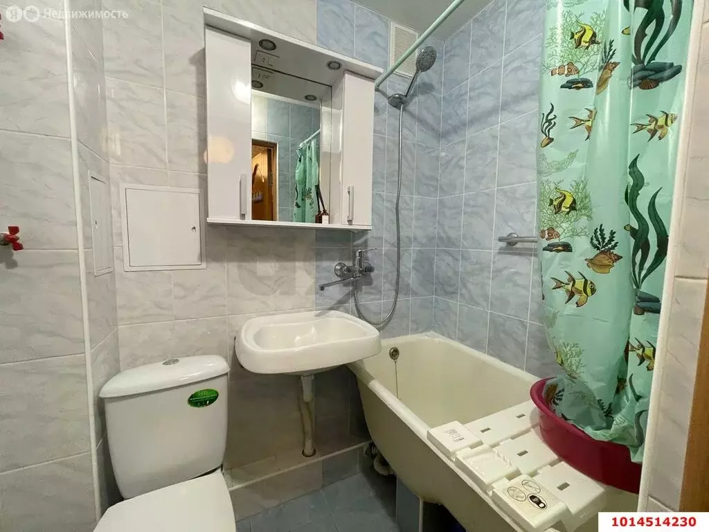 1-комнатная квартира: Краснодар, Московская улица, 86 (21.1 м) - Фото 0
