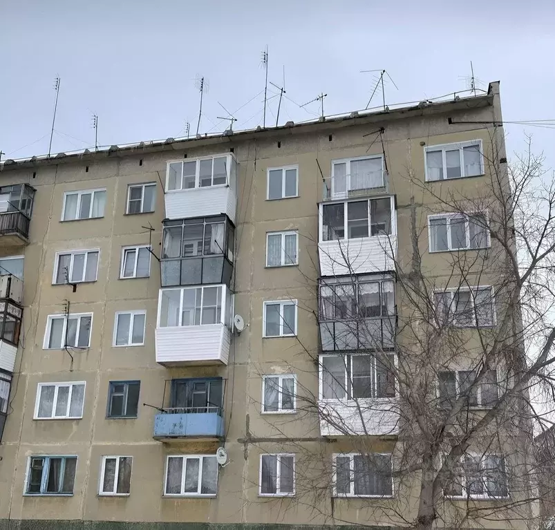 2-к кв. Новосибирская область, Черепановский район, Дорогино рп ул. ... - Фото 2