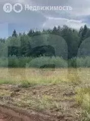 Участок в Пасеговское сельское поселение, деревня Никитинцы (15 м) - Фото 1