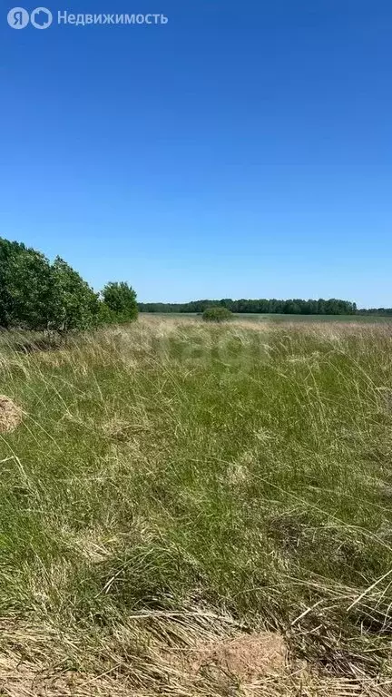 Участок в Перемышльский район, сельское поселение Хотисино, деревня ... - Фото 0