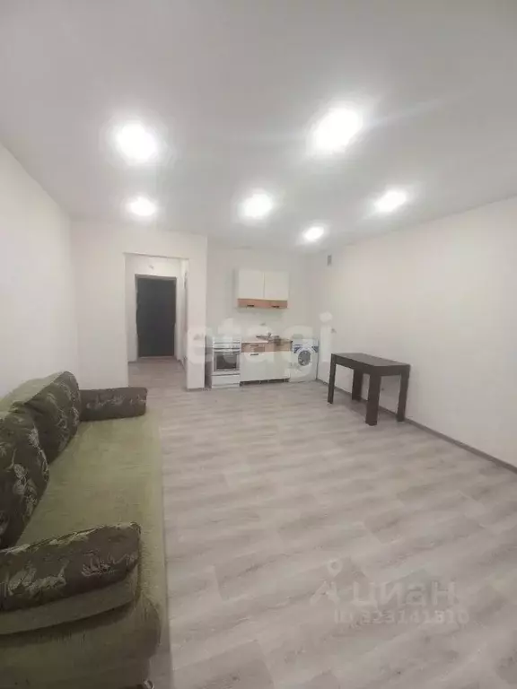 Студия Амурская область, Благовещенский район, с. Чигири ул. Красивая, ... - Фото 1