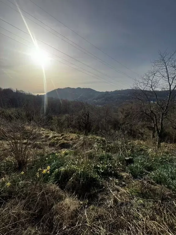 Участок в Краснодарский край, Сочи Целинная ул., 81 (16.0 сот.) - Фото 1