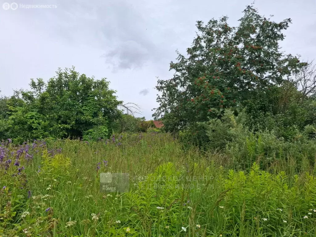 Участок в Истра, улица Урицкого, 21 (6 м) - Фото 2