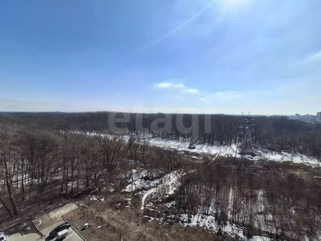 Студия Курская область, Курск ул. Энгельса, 158к1 (28.4 м) - Фото 1