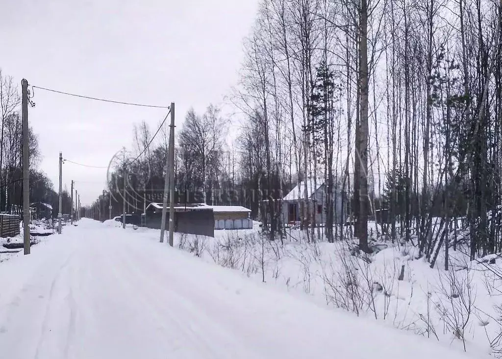 Участок в Ленинградская область, Кировский район, Мгинское городское ... - Фото 0
