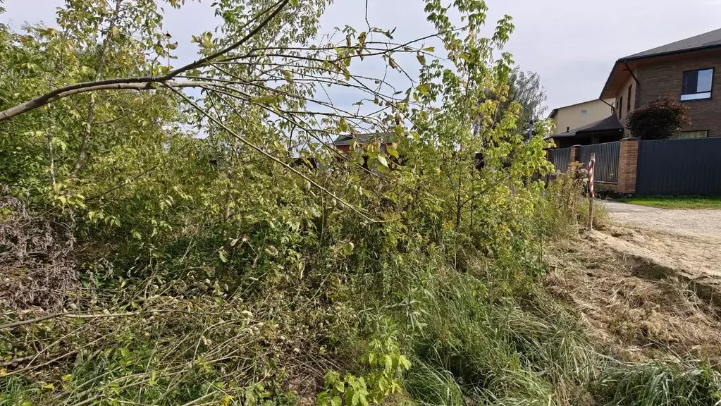 Участок в Московская область, Ленинский городской округ, Молоково пгт ... - Фото 1