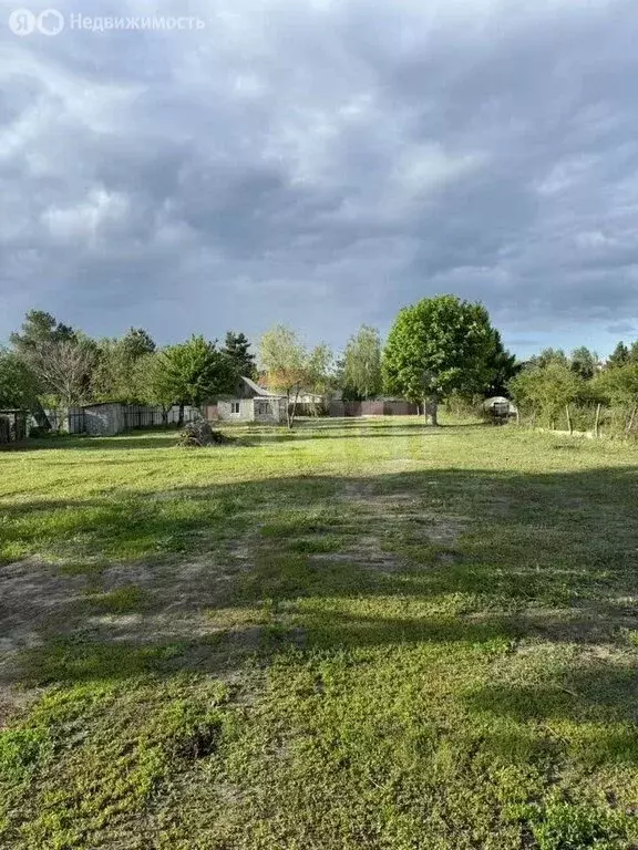 Участок в Рамонский район, Айдаровское сельское поселение, СНТ ... - Фото 1