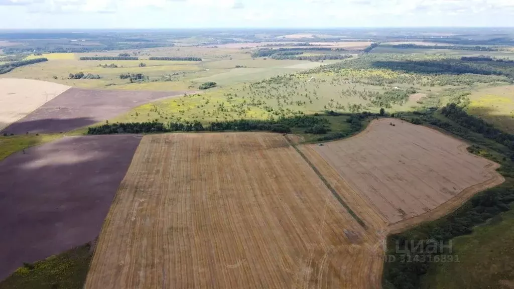 Участок в Тульская область, Заокский район, Малаховское с/пос  (29.0 ... - Фото 2