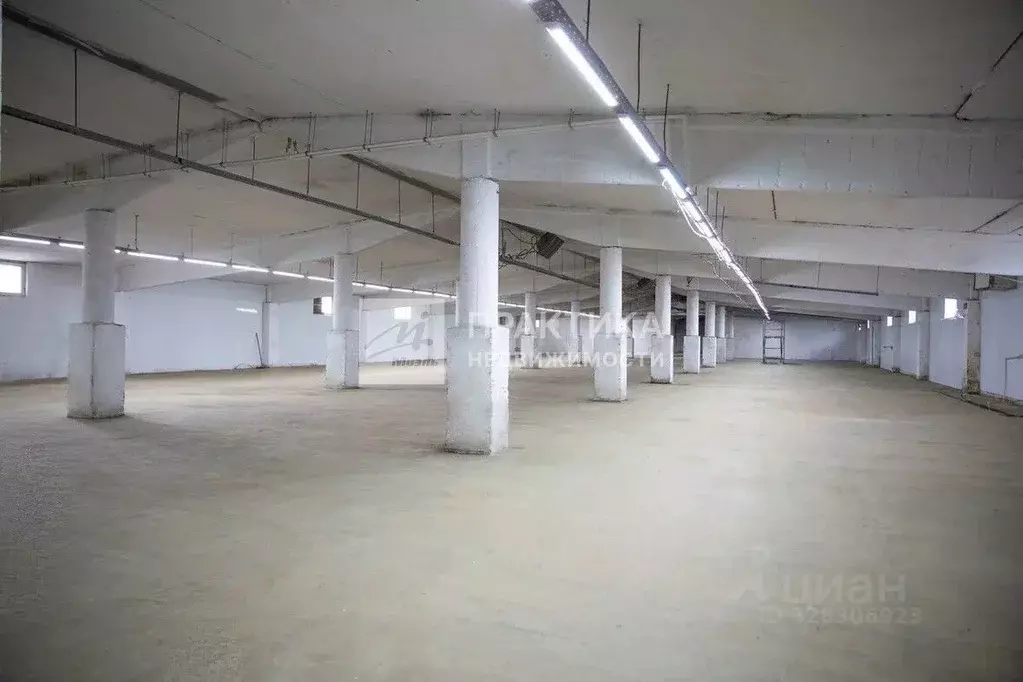 Производственное помещение в Московская область, Чехов муниципальный ... - Фото 2