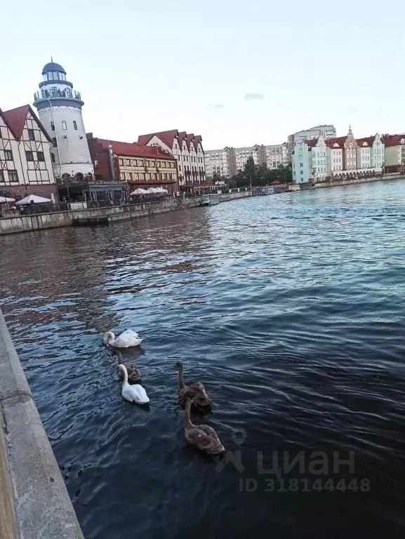 1-к кв. Калининградская область, Калининград ул. Генерала Буткова, 18 ... - Фото 1