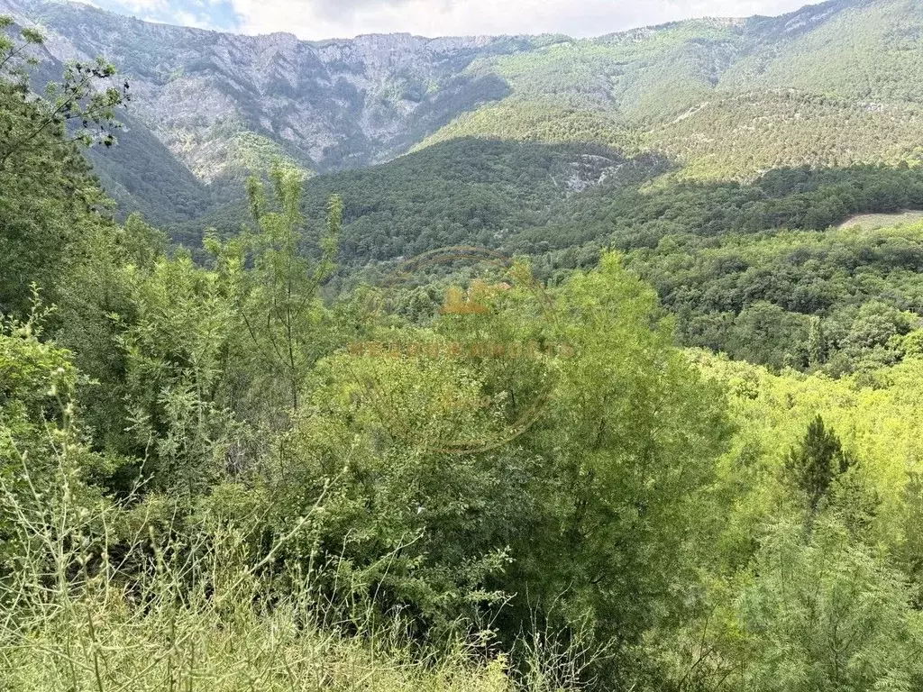 Участок в Крым, Ялта муниципальный округ, Виноградное пгт ул. Красина ... - Фото 1