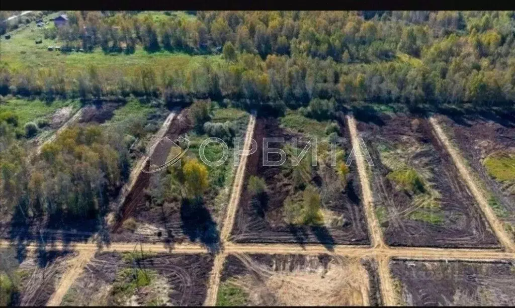 Участок в Тюменская область, Тюменский муниципальный округ Салаирский ... - Фото 2