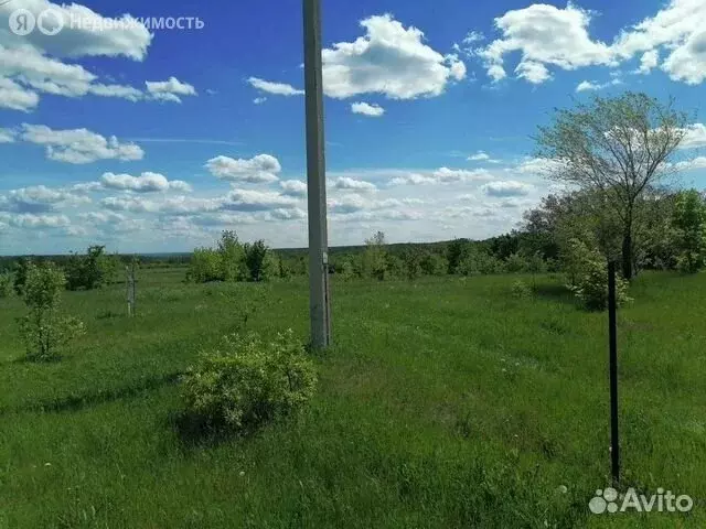 Участок в Калужская область, Жуковский муниципальный округ, село ... - Фото 1