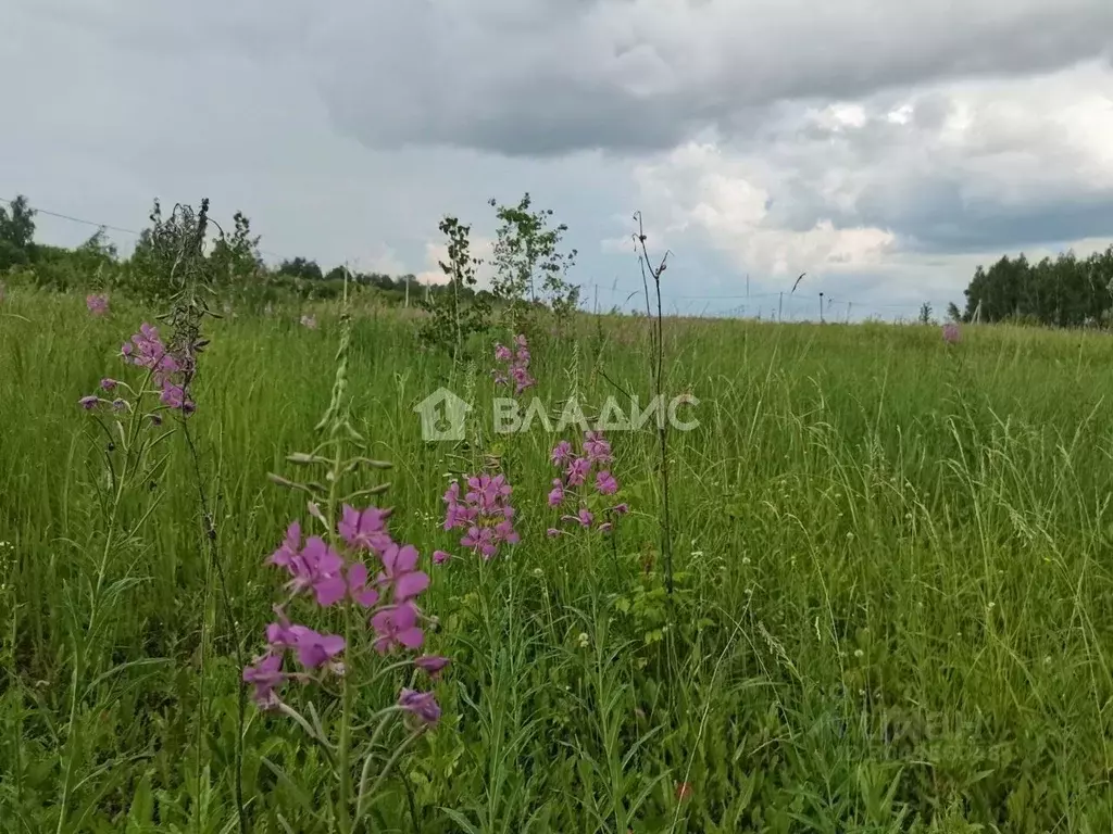 Участок в Тамбовская область, Тамбовский муниципальный округ, д. ... - Фото 0