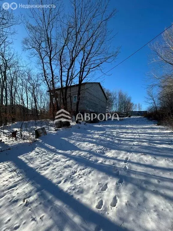 Дом в Амурская область, Благовещенский муниципальный округ, село ... - Фото 2